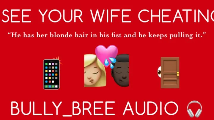 I Can See Your Wife Cheating Audio