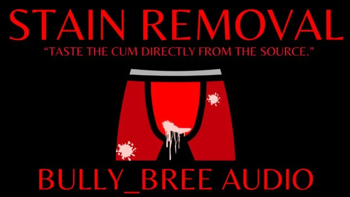 Stain Removal Audio