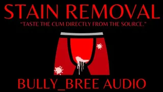 Stain Removal Audio