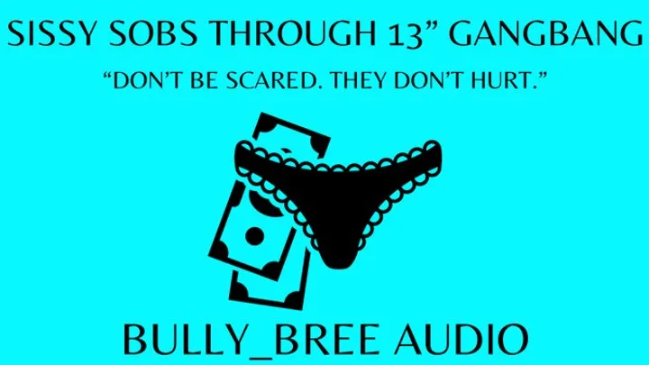 Sissy Sobs Through 13" Gangbang Custom Audio