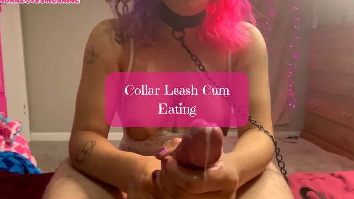 Collar Leash Cum Eating