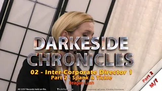 Darkeside Chronicles 02 - Inter-Corporate Director 1 - Part 2 (Short Version)