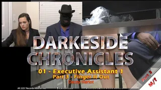 Darkeside Chronicles 01 - Executive Assistant 1 - Part 3 - Short Version