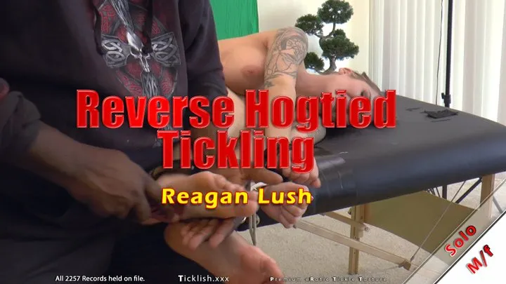 Reverse Hogtied Tickling - Reagan Lush