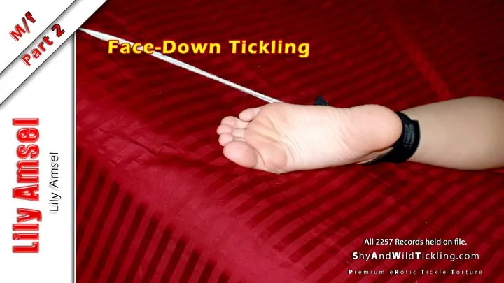 Lily Amsel - Tickled Face-Down