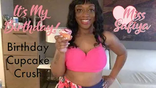 Birthday Cupcake Crush