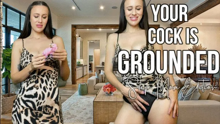 Your Cock Is Grounded