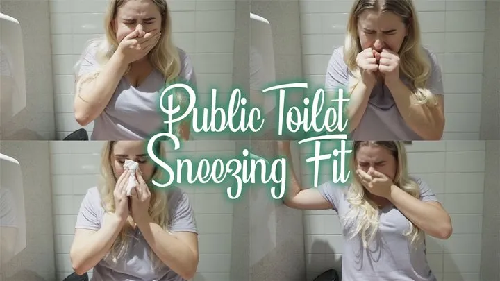 10+ Sneezes in a Public Toilet