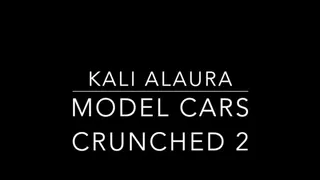 Model Cars Crushed 2