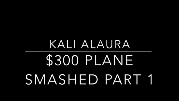 $300 Model Plane Crush Part 1