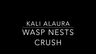 Wasp Nest Crush