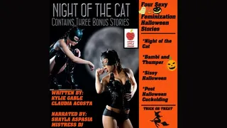 Night of the Cat