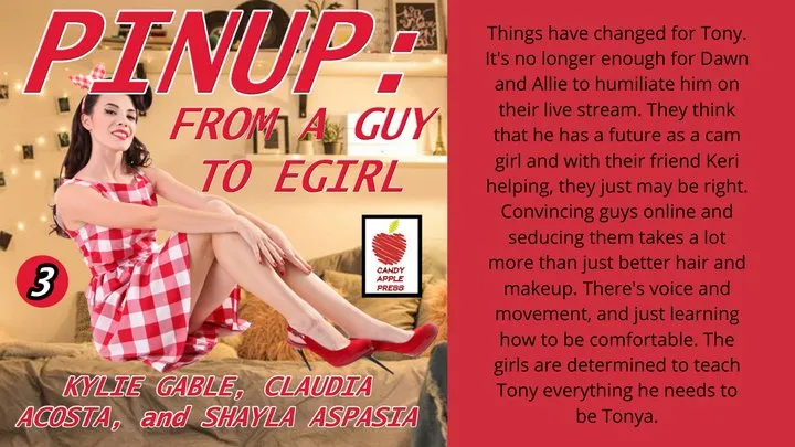 Pinup 3 : From a Guy to E-Girl Written by Kylie Gable and Claudia Acosta Narrated by Shayla Aspasia