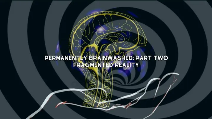 Permanently Mindwashed: Part Two - FRAGMENTED REALITY