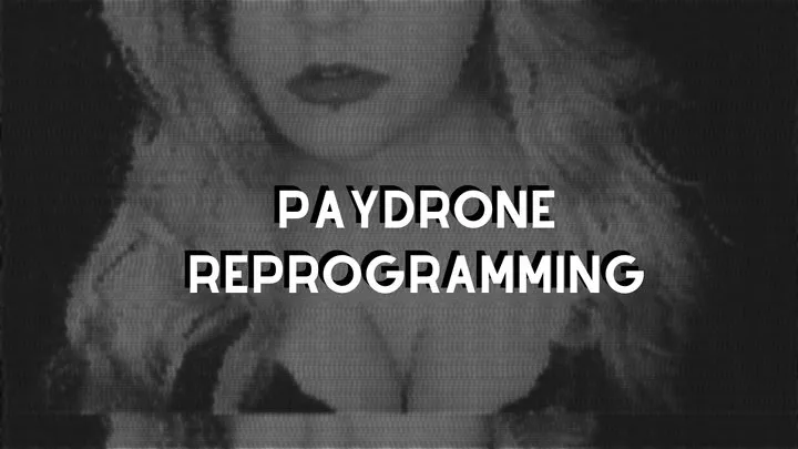 Paydrone Reprogramming