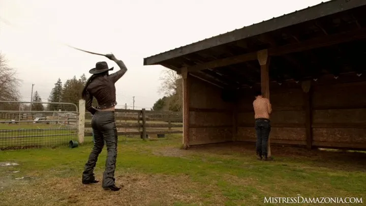 Cowgirl whipping her stable boy