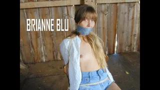 BRIANNE BLU-HAVING MORE FUN DOWN ON THE FARM, COUNTRY STYLE