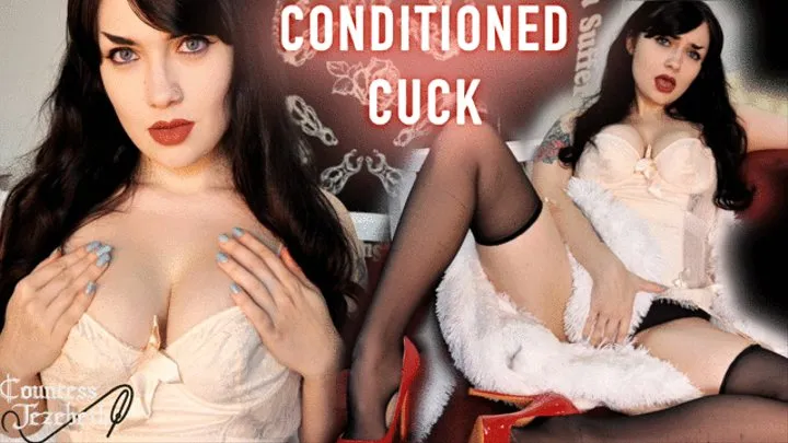 Conditioned Cuck