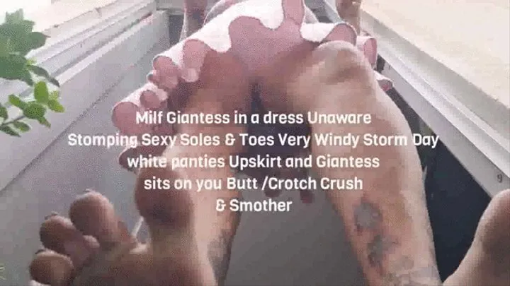 Milf Giantess in a dress Unaware Stomping Sexy Soles & Toes Very Windy Storm Day white panties Upskirt and Giantess sits on you Butt &Crotch Crush & Smother