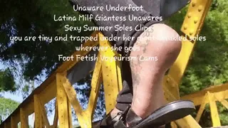 Unaware Underfoot Latina Milf Giantess Unawares Sexy Summer Soles Clips you are tiny and trapped under her giant wrinkled soles wherever she goes Foot Fetish Voyeurism Cams