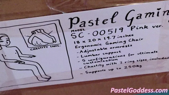 Pastel Goddess - Human Gaming Chair Unboxing and Review! (Edited Version)