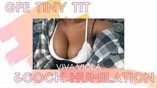 GFE Tiny Tits and Cock Humiliation