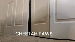 CHEETAH PAWS PT 2