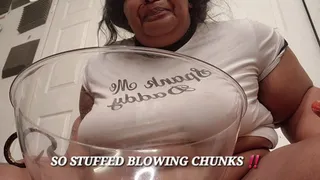 SO STUFFED BLOWING CHUNKS