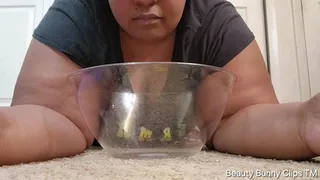 BARFING CEREAL BOWL