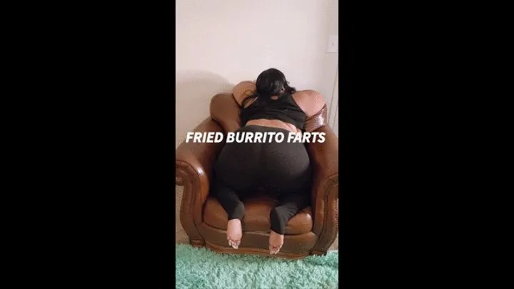 FRIED BURRITO FARTS