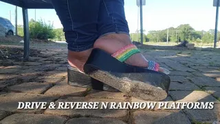 DRIVE & REVERSE N RAINBOW PLATFORMS