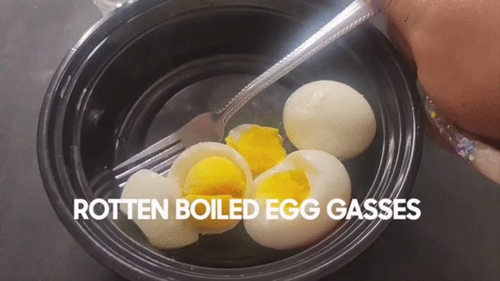 ROTTEN BOILED EGG GASSES