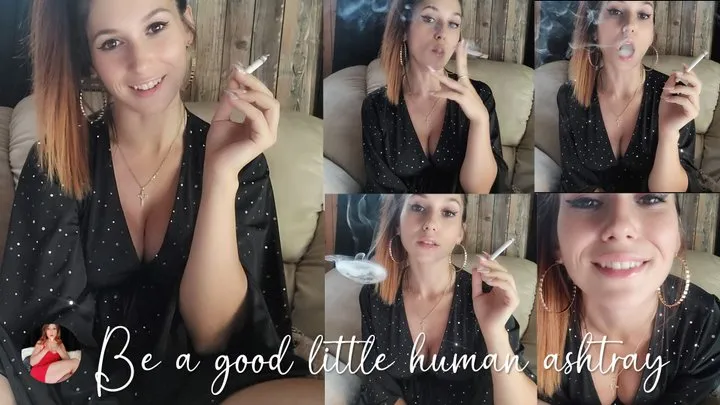 Be a Good Little Human Ashtray!