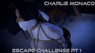 Charlie Monaco - Escape Challenge *By Night* ( Wrap Gagged, Bound Gagged, Rope Bondage, Tied Up Gagged, Bondage, BDSM, Escape Challenge, OTM Gag, Duct Tape Wrap Gag, Hairtie, Chairtied, Struggling, Charlie Monaco )