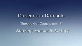 Snoops Get Caught - Part 3 LARGE