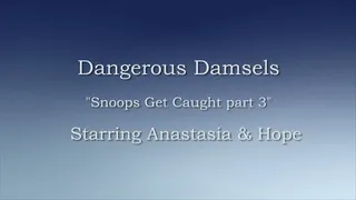 Snoops Get Caught - Part 3 SMALL