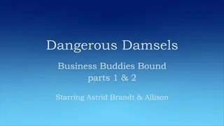 Business Buddies Bound - Full Clip SMALL