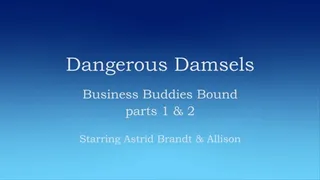 Business Buddies Bound - Full Clip LARGE