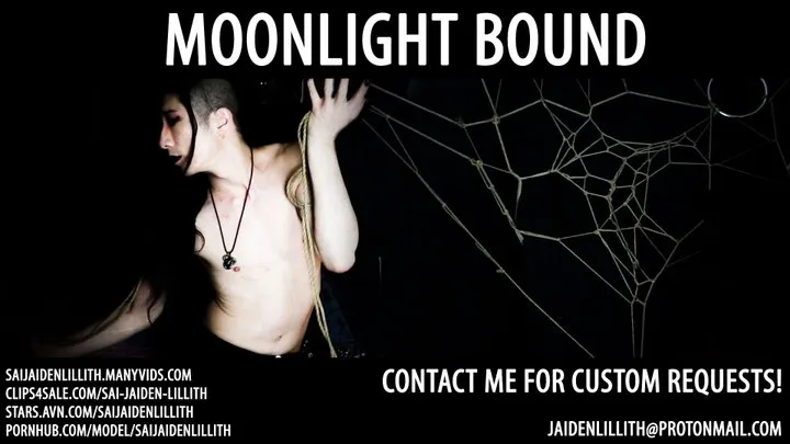Moonlight Bound - EROTIC AUDIO - MP3 - SaiJaidenLillith