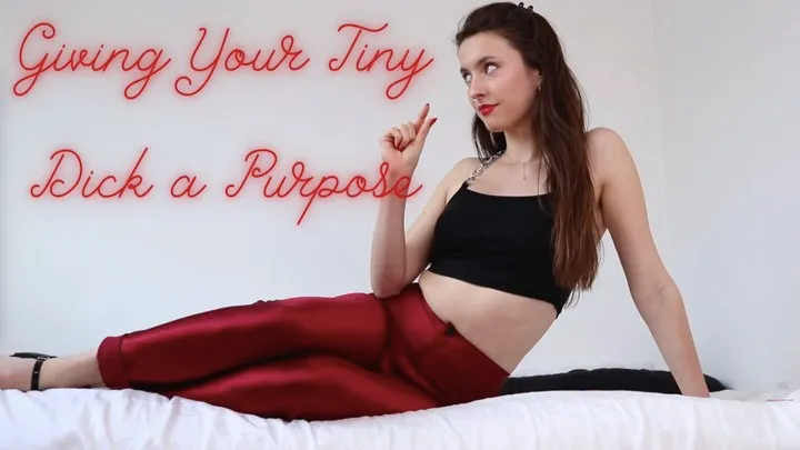 Giving Your Tiny Dick a Purpose *INTERACTIVE*