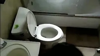 Spy cam bathroom farts