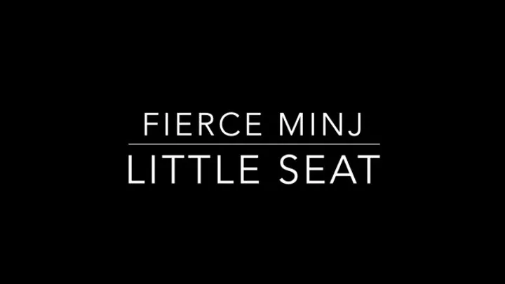 Little Seat