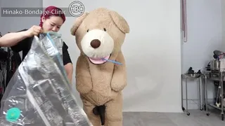 Teddy Bear Compressed in Space Bag