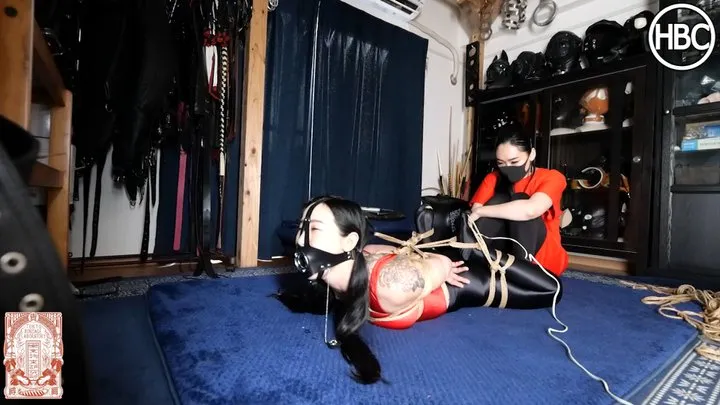 HBC X TBL; Leohex Hinako Gets Plug Gagged and Tied in Rope Bondage Suspension