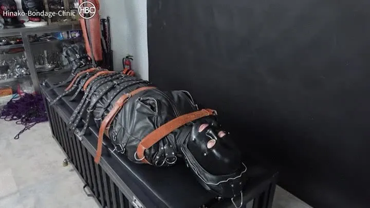 Leather Rest Sack Face Sitting Atop the Cage