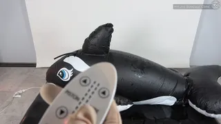 Huge Orca Inflatable Floatie Bondage!