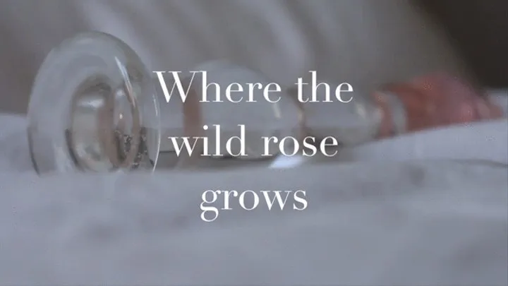 Where the wild rose grows: glass dildo orgasm