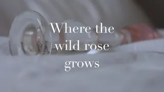 Where the wild rose grows: glass dildo orgasm