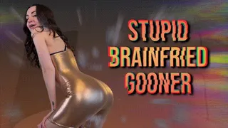 Stupid Brainfried Gooner