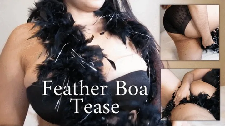 Feather Boa Tease